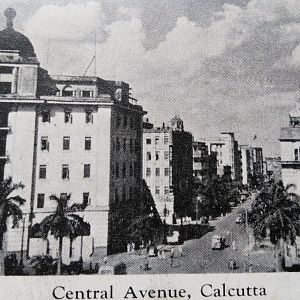 Central Avenue Calcutta