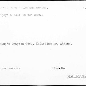 Description of this picture