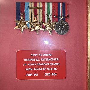 My great grandfathers medals